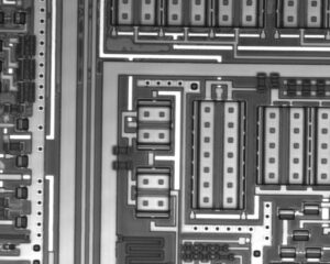 Laser Scanning Microscopy (LSM) – Lab Test